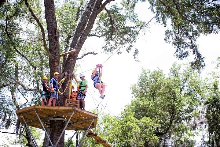 Treetop Express Zip Line Tour (Includes 5 Zip Line Flights & 2 Sky Bridges) - Photo 1 of 6